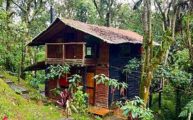 La Cabana Musical